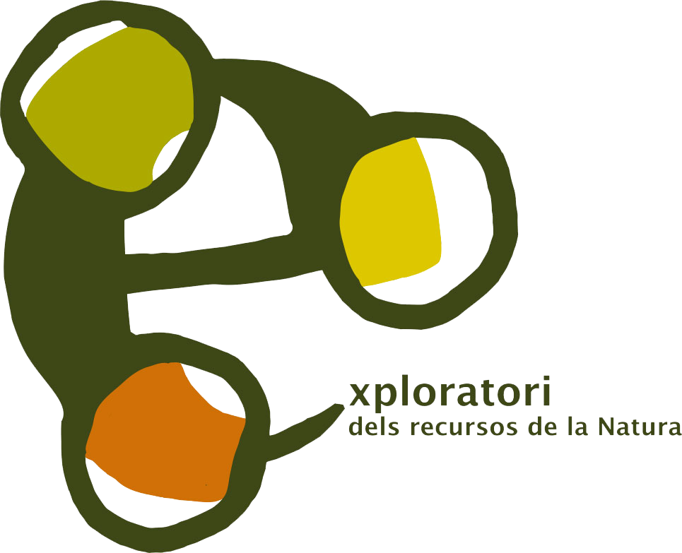 Logo Exploratori